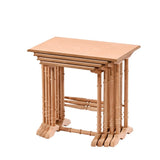 FİLİZ ZİGON-5525