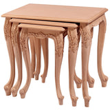 MANOLYA ZİGON-5561