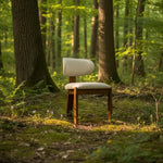 Paladin Modern Ahşap Sandalye - Evimlüks