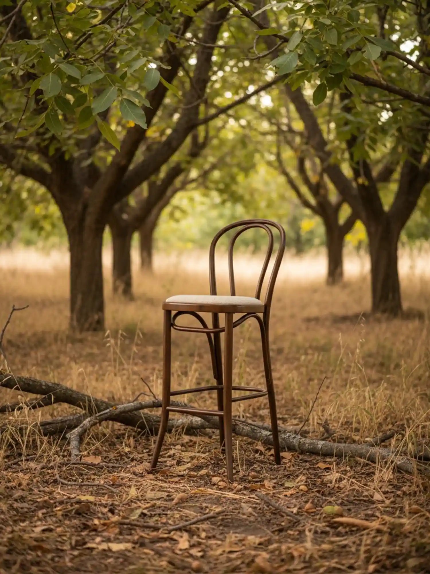 Thonet Model 18 Döşemeli Bar Sandalyesi - Evimlüks